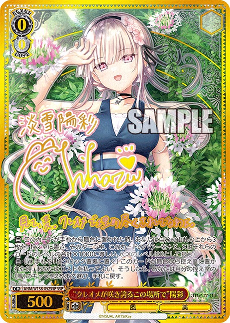 “クレオメが咲き誇るこの場所で”陽彩 (SSP) 【ANM/W138-052SSP】
